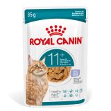 ROYAL CANIN AGEING 11+ Gelee | 12 x 85 g | Nassfutter für ältere Katzen ab 11 Jahren | Formel mit HealthyAge7 Complex | Schmackhafte Gelee-Stückchen