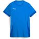 PUMA Unisex Teamgoal Matchday Jersey WMNS voetbalshirt