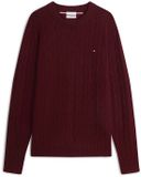 Tommy Hilfiger Heren Gebreide Trui Bordeaux Wol M