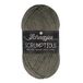 Scheepjes Scheepjes Scrumptious 373 Sweet hout Ice Cream Garen - 5x100g