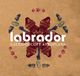 Sonic Rendezvous Labrador - Caleidoscope Aeroplane (CD)