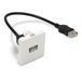 Waytex 37268 Plastron USB type A 45 x 45 F/F vrouwelijke kabel lengte 20 cm wit voor kabelgoot of wandrooster houder