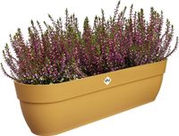 Elho Vibia Campana Easy Hanger XXL 70 - Plantenbak voor Balkon - Honinggeel