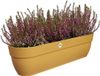 Elho Vibia Campana Easy Hanger XXL 70 - Plantenbak voor Balkon - Honinggeel
