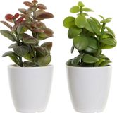 DKD Home Decor Decoratieve plant Oranje Groen Keramiek Polypropeen (PP) (9.8 x 8 x 18 cm) (2 stuks)