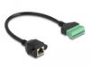 DeLOCK 66054 Netwerkkabel Zwart, Groen 0,3 m Cat6 U/UTP