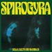 Sonic Rendezvous Spirogyra - Bells, Boots And Shambles (LP)