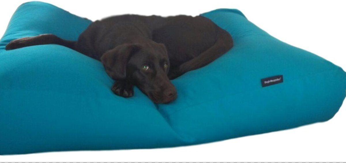 Dog's Companion Hondenkussen - XS - 55 x 45 cm - Aquablauw