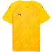 Puma Maillot Team Final Graphic