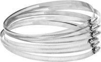 vidaXL Slangklemmen 6 stuks 91-165 mm roestvrij staal 304