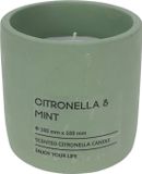 Pro Garden Citronella kaars in pot 10cm groen