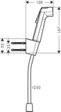 Hansgrohe Bidette handdouche 1jet S EcoSmart met Porter S douchehouder en doucheslang 125cm, 29238700