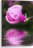 Merkloos / Sans marque Take your time Canvas - Roze Magnolia Bloem boven Water met Weerspiegeling - 60x90 cm Foto op Canvas Schilderij (Wanddecoratie op Canvas)