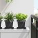 Maison Exclusive - Pot de fleur, 24 pièces, noir, plastique