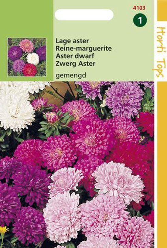 Hortitops Zaden - Callistephus Chinensis Dwergchrysanthemum Gemengd