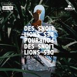 Bertus Distributie Des Lions Pour Des Lions Derviche Safari