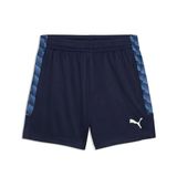 PUMA Teamliga Training Shorts Jr