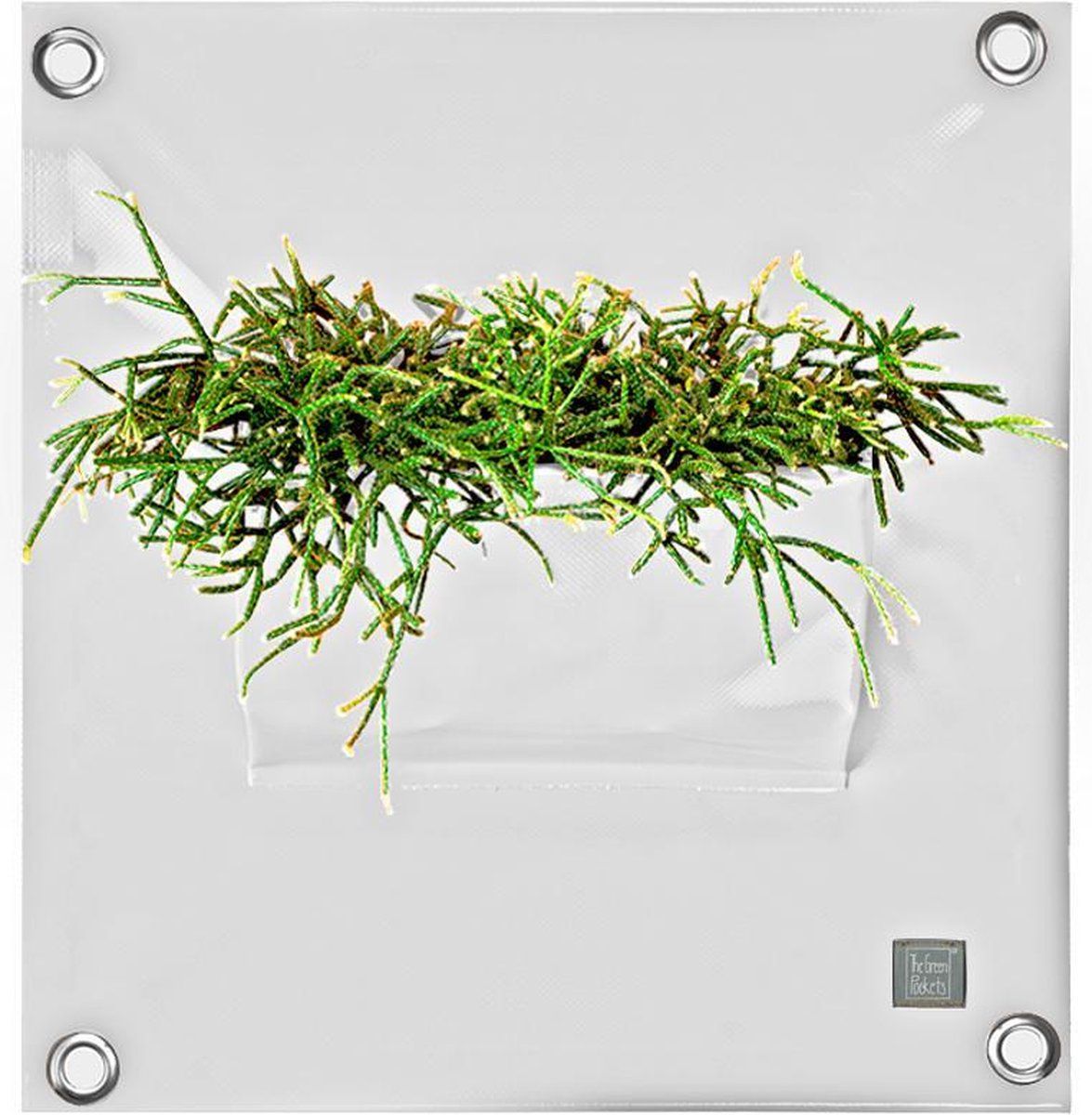 Bloomingwalls Plantenzak The Green Pockets PEVA1 - Wit - EAN: 8595604400216