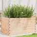 Maison Exclusive - Jardinière 90x60x45,5 cm, bois massif, pin