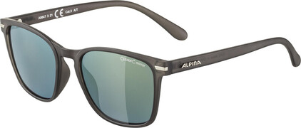 Alpina Yefe Bril, grey transparent matt/gold mirror