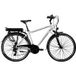 Zündapp Vélo électrique de trekking Z802 Hommes, 21 vitesses Shimano Tourney, dérailleur, moteur arrière, 536 Wh, Pedelec, vélo électrique pour femmes et hommes