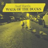 Suburban Asaf Harris Walk of the Ducks
