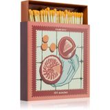 Paddywax Jumbo Boxed