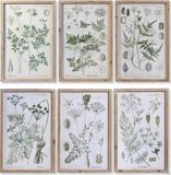 DKD Home Decor Schilderij Spar Kristal 40 X 2 X 60 Cm Botanische Planten (6 Onderdelen)