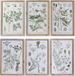 DKD Home Decor Schilderij Spar Kristal 40 X 2 X 60 Cm Botanische Planten (6 Onderdelen)