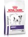 Royal Canin Alimentation pour chien adulte de petite taille - 4kg