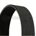 Contitech 10PK2337 Courroie striée