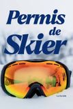 Permis Independently Published Permis de Skier: Tout ce qu’il faut savoir pour partir au ski sereinement et skier sans stress