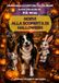 NORVI ALLA SCOPERTA DI HALLOWEEN