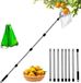 Télescopique récolteuse de fruits de 4,2 mètres avec manche en aluminium, idéal pour pommes et prunes, collecteur de fruits de grand diamètre