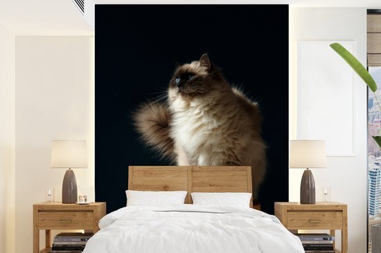 Nr1Wallpaper Behang - Fotobehang Een Ragdoll kat zittend op een paal - Breedte 160 cm x hoogte 220 cm