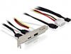 DeLOCK Support de fente eSATAp 5V/12V + carte/adaptateur d'interface USB 2.0