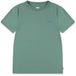 Levi's Kinder T-shirt met korte mouwen en Batwing Chest Hit in groen voor jongens, maat 16 jaar