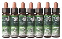 Artesania Plantis 19 Alerce 10ml