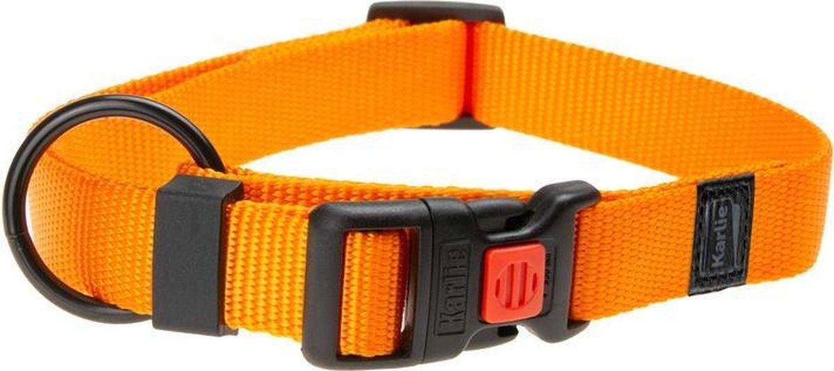 FLAMINGO Halsband - Oranje - 40-55 cm - 20 mm