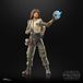 Hasbro Star Wars: The Acolyte Black Series Action Figure Osha Aniseya 15 cm