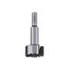 CMT 537.350.31 Forstner Bit, 35 mm (1-3/8-inch) diameter, 10 mm schacht