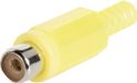 TRU COMPONENTS 1578856 Connecteur Cinch, droit Nombre de pôles : 2 Blanc 1 pièce(s)