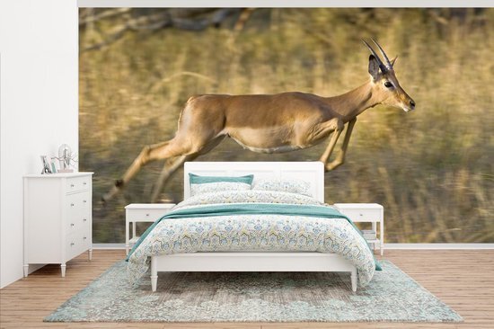 Nr1Wallpaper Behang - Fotobehang Gazelle - Dieren - Spring - Breedte 430 cm x hoogte 240 cm