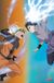 Your Decoration B.V. Affiche Naruto Shippuden - Naruto Sasuke 61x91,5cm