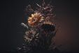 Alexsar Art schilderij Glas art bruin flora 150x100cm