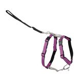 PetSafe 3-in-1 harnas en autobeperking, groot, pruim, geen trek, verstelbaar, training voor kleine/middelgrote/grote honden