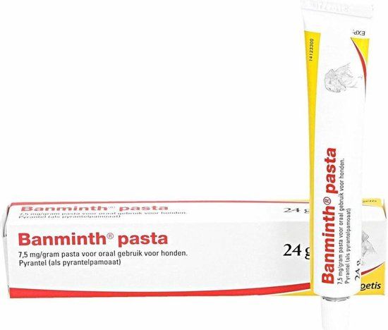 Banminth pasta Hond 24 g - Wormenkuur voor Honden - 8715885000008
