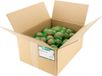 Merkloos Hadivo Mezenbollen Doos 100 stuks