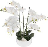 Merkloos Kunstplant Orchidee - Keramiek Pot - Woondecoratie - Realistische Stijl - 65 cm Hoog - Wit