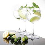 Olympia Bar Collection Kristallen Ginglazen 645ml (6 Stuks)
